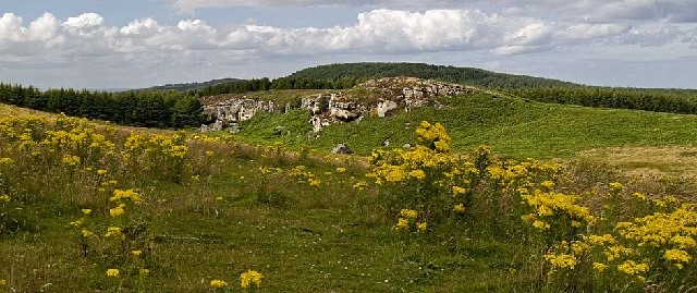 Green regenerative pasture at Eureka Farm